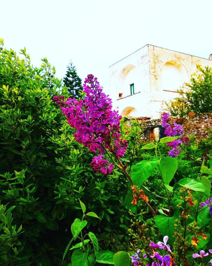 Masseria Delle Rose 1760 Alessano Εξωτερικό φωτογραφία