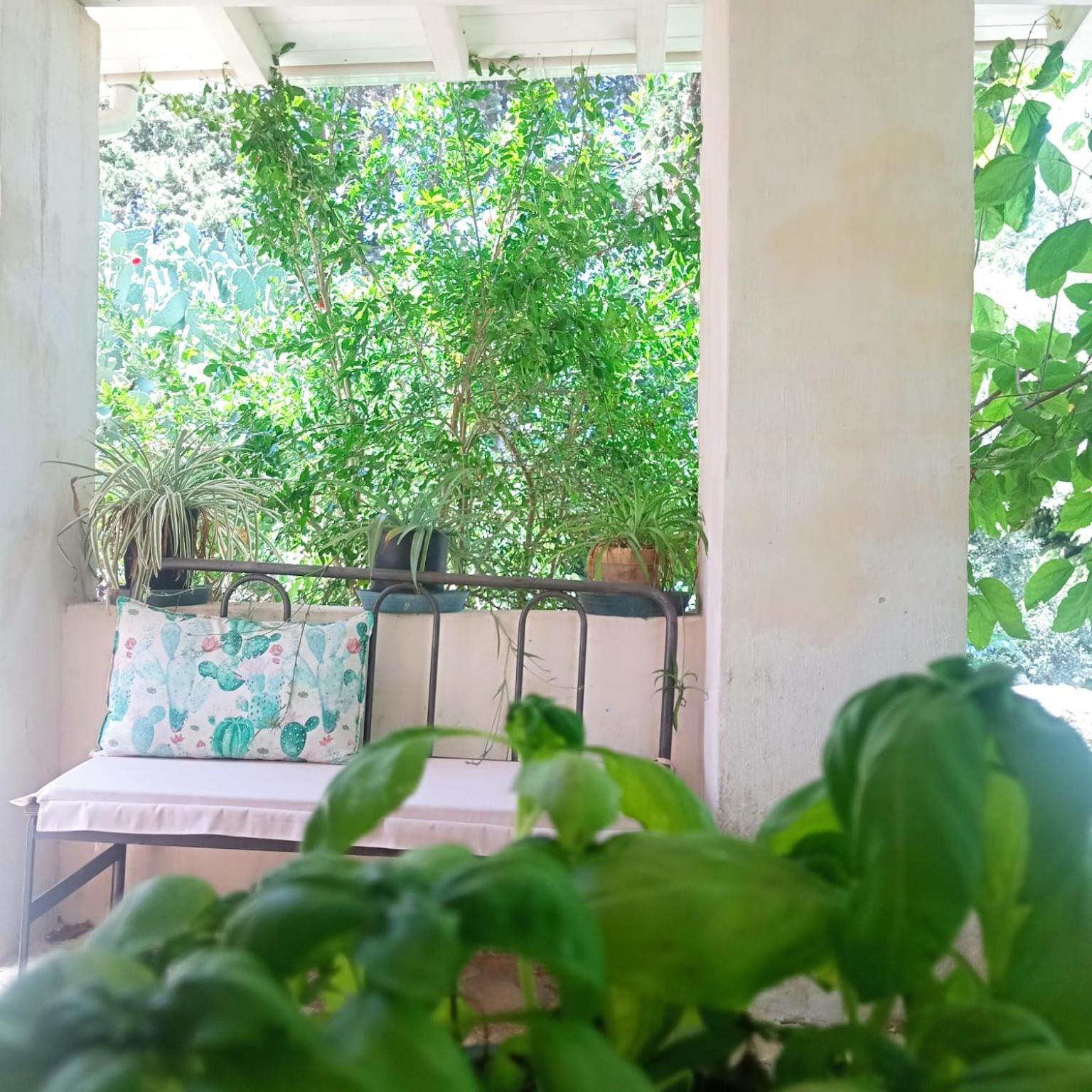 Masseria Delle Rose 1760 Alessano Δωμάτιο φωτογραφία